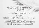 New York Night Font