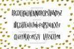 Newport Font