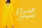 Nicestrips Fancy Script Font