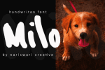 Nicho Font