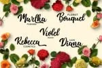 Nichole Script Font