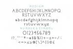 Nicolls Font
