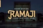 Nimble Font