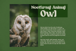Nocturne - Podgy Serif Font
