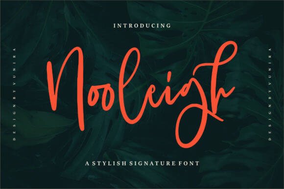 Nooleigh Font