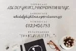 Noorlita Beautiful Calligraphy Font