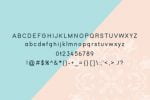 Noppo Font