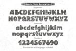Nordic Tale Family Font