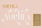 Norktika The Serif Font