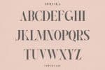 Norktika The Serif Font