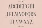 Norktika The Serif Font
