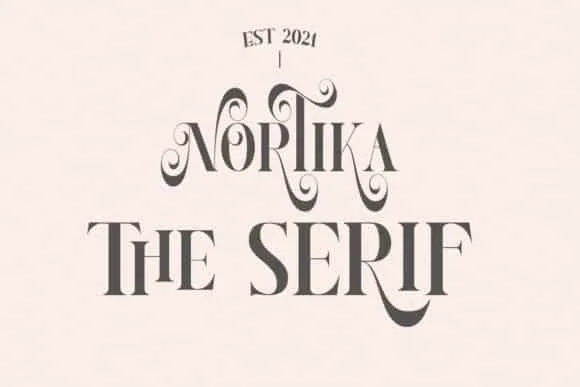 Norktıka The Serıf Font
