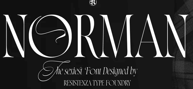 Norman Font Family