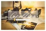 Northern Forest Handwritten Signature Typeface Font