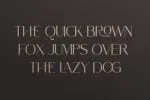 Northern Worssley - Ligature Sans