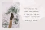 Northlands Font