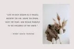 Northlands Font