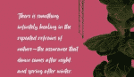 Northports Display Font