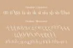 Nortika The Serif Font
