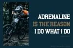 Norwill Font