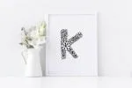 Nory Font