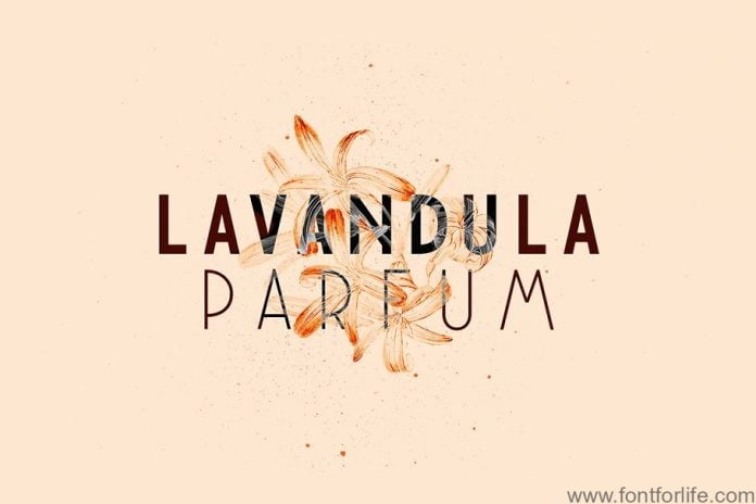 NovaDeco Type Family