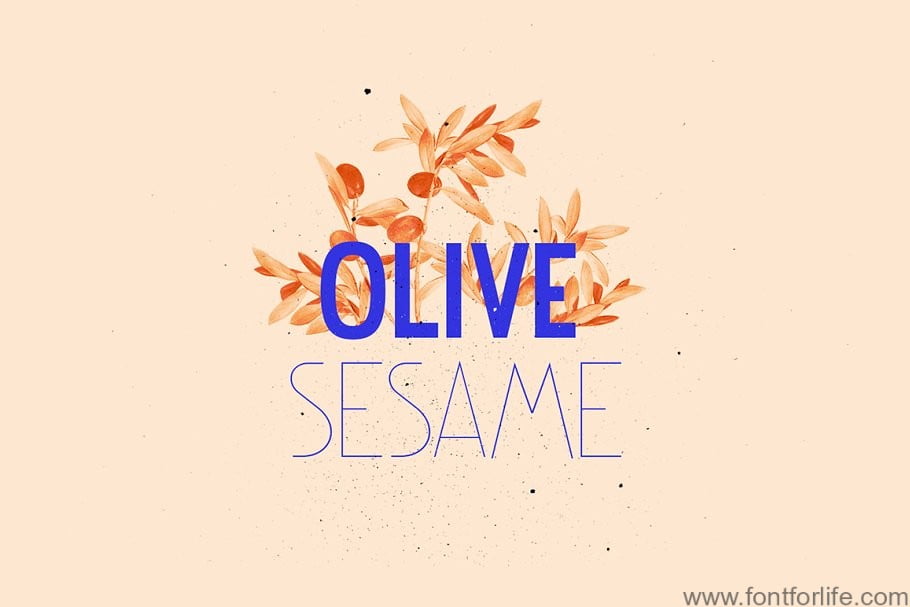 NovaDeco Type Family