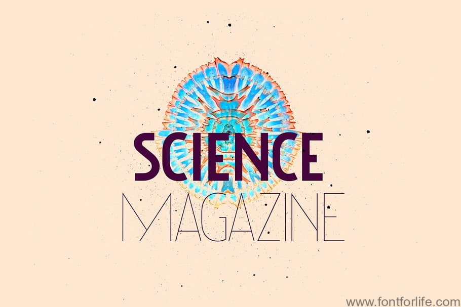 NovaDeco Type Family