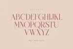 Novante - Display Serif Font