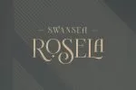 Novante - Display Serif Font