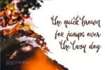 November - Beauty Signature Script