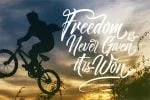 Novitha Script Font