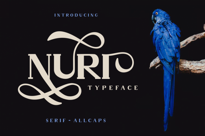 Nuri Font Family