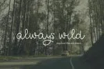 Nutmeg Script Font