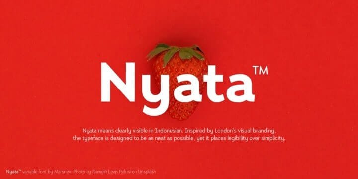 Nyata Font Family
