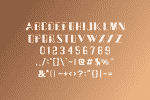 Nice Thick Font