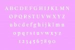 ORSON - An Essential Serif Typeface Font