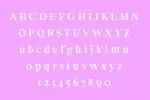 ORSON - An Essential Serif Typeface Font
