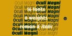 Oculi Magni Font