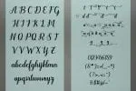 Odelette Script Font