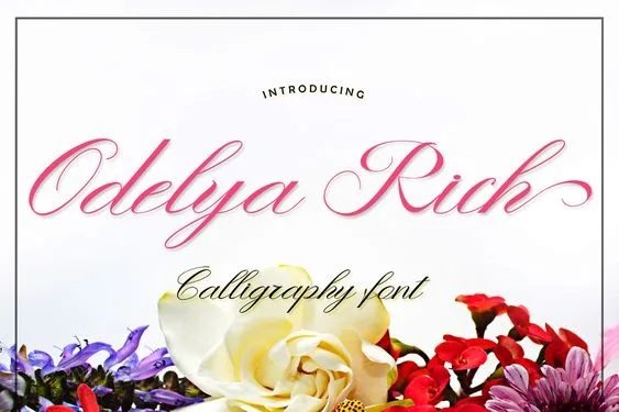 Odelya Rich