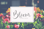 Oh Beloved Font