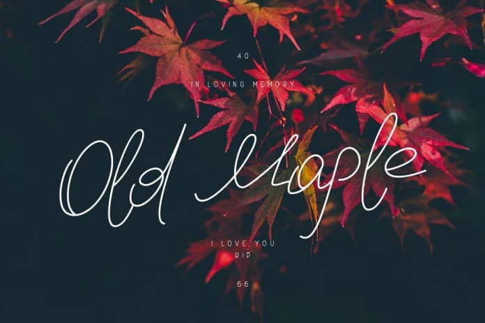 Old Maple Font