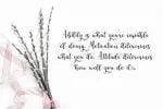 Olyndia Font