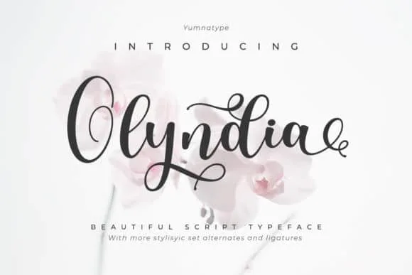 Olyndra - Beautiful Script Font