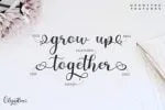Olyndra - Beautiful Script Font