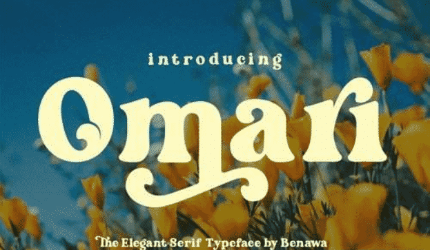 Omari Elegant Font Serif Font