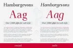 Omologo Serif Semi Stencil font