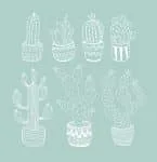 Onega Font