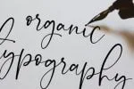 Onesty Signature Font